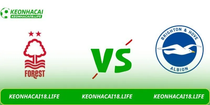 Soi kèo Nottingham Forest vs Brighton, 21h05 ngày 30/11/2025